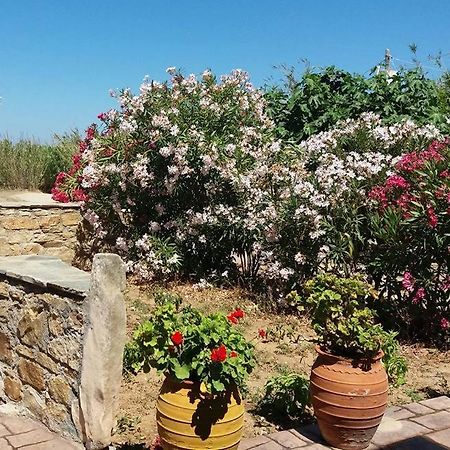 Villa Danai Agia Anna  Zewnętrze zdjęcie