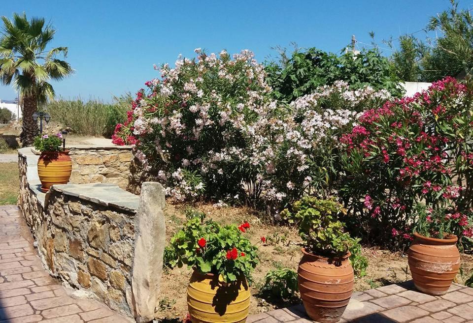 Villa Danai Agia Anna  Zewnętrze zdjęcie
